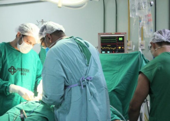 Transplante de coração suíno em ser humano pode revolucionar a medicina, segundo InCor